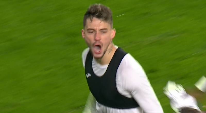 Rams Başakşehir-Trabzonspor