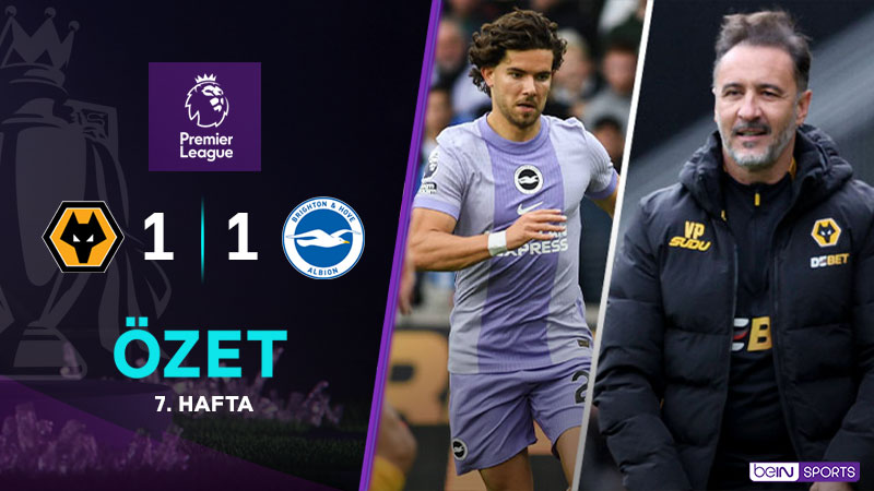 Wolverhampton 1-1 Brighton and Hove Albion Maç Özeti