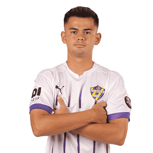 player image